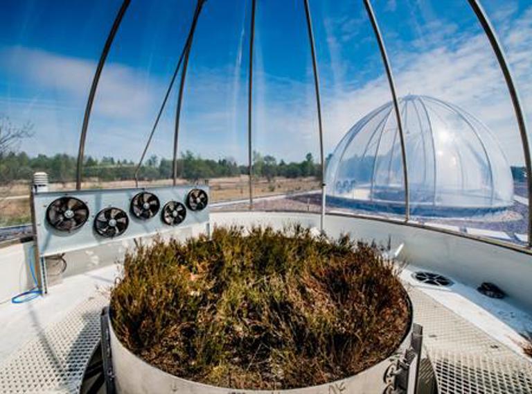 Multidisciplinary Research Ecotron