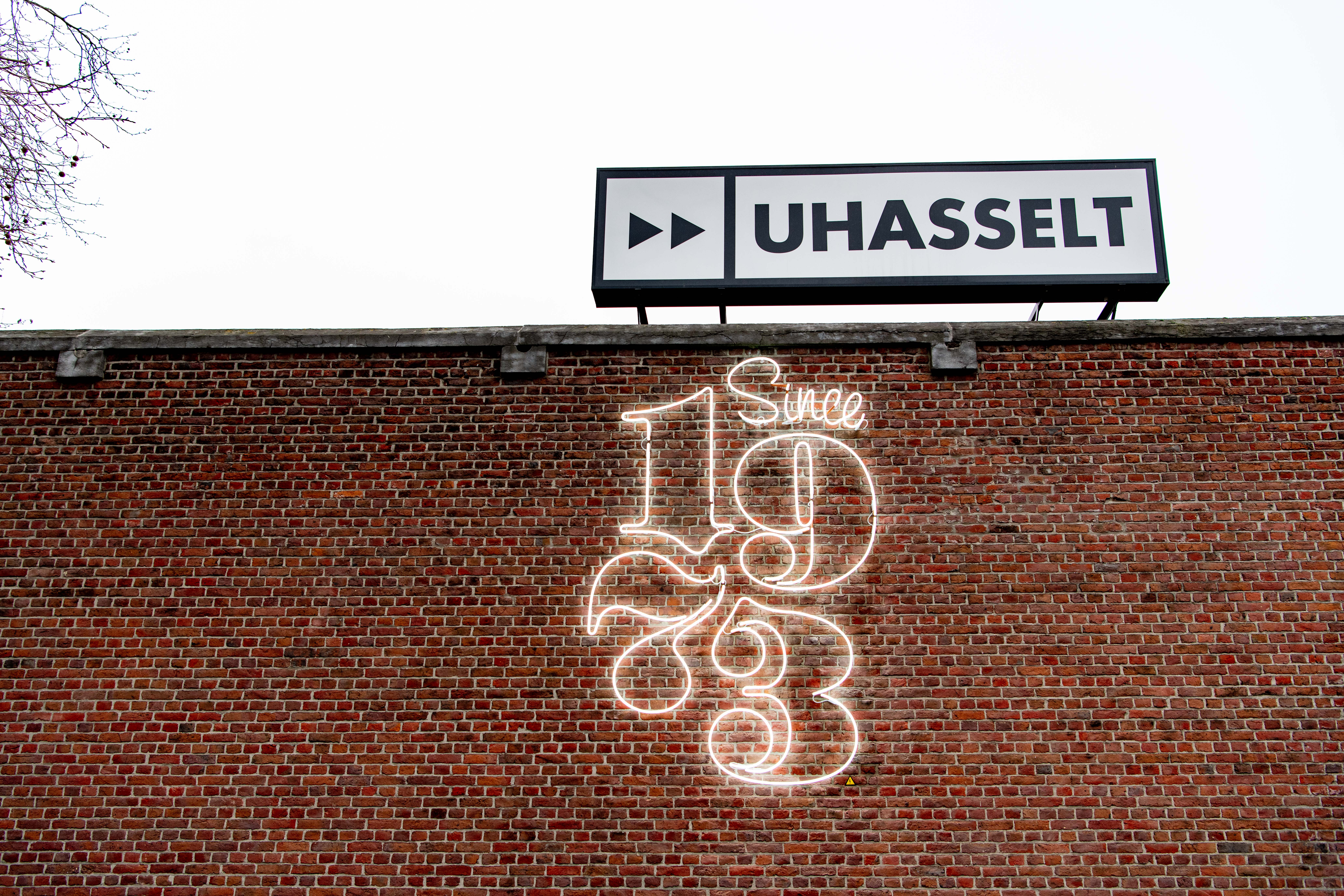 Since 1973 Neon 004