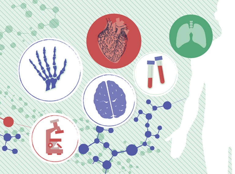 Biomed Banner Tekening