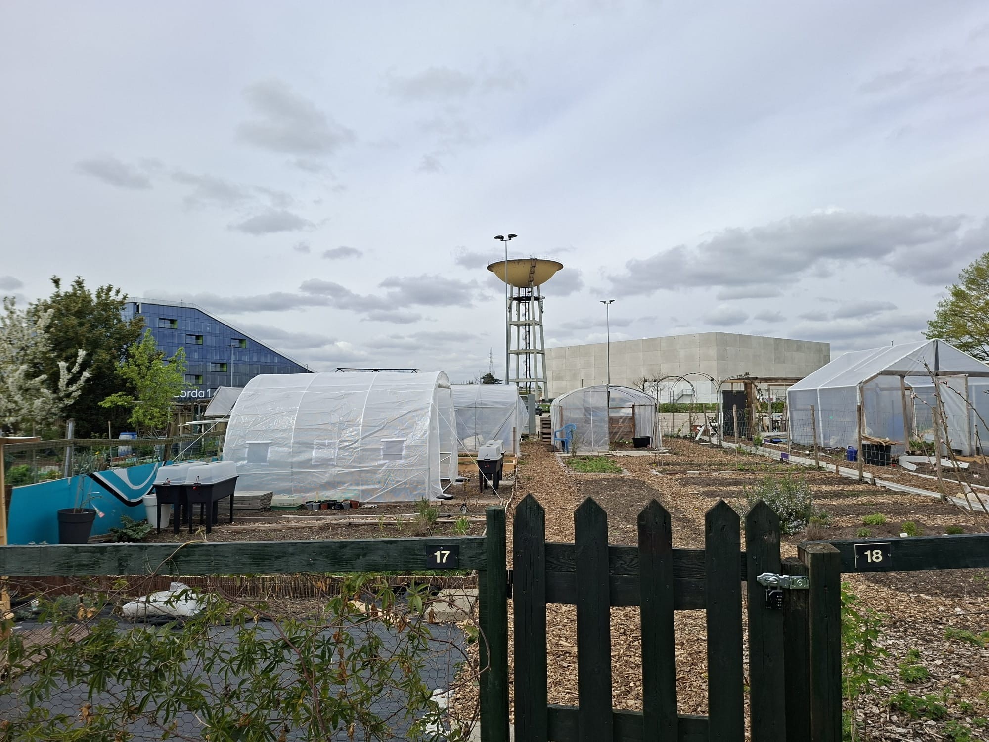 LP 4 Ecologies Of Compost