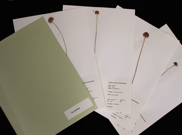 Herbarium 1 (1)