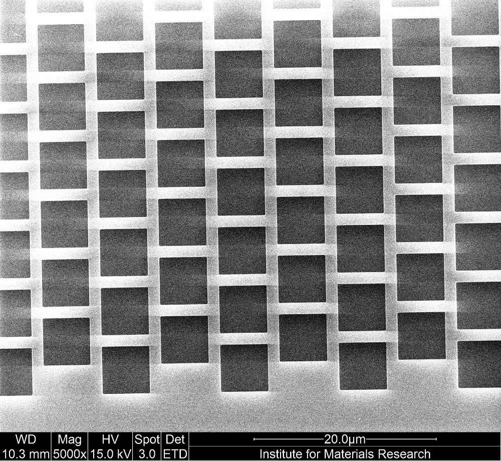 Picture Membrane