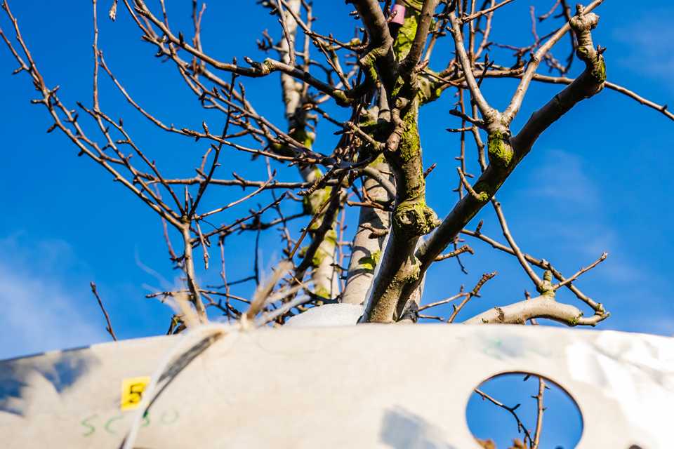 Foto 41